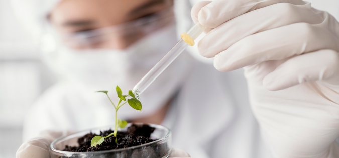 laboratorium kwalifikowane nasiona materiał siewny